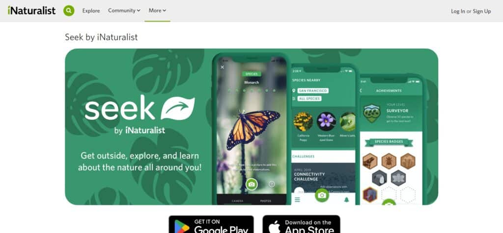 Seek (Best App To Identify Plants)