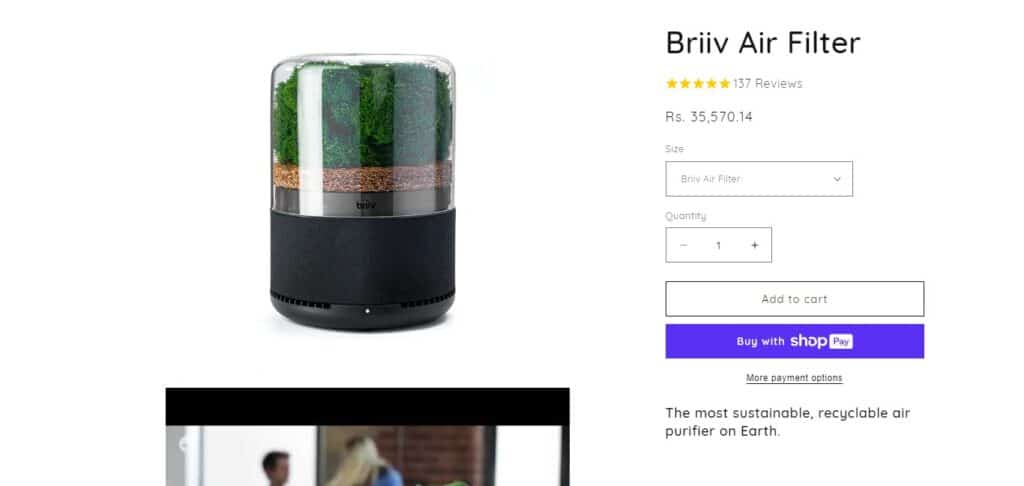 Briiv Air Filter