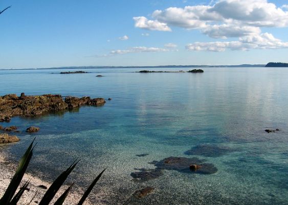 12. Tiritiri Matangi Island (Best Tourist Attractions In New Zealand)