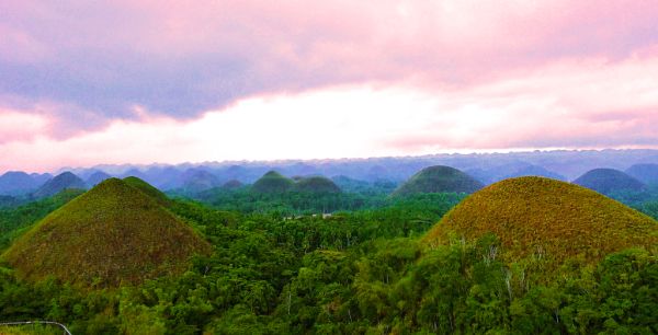 4. Bohol (Best Tourist Destination In The Philippines)