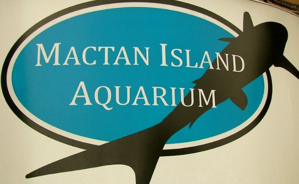 3. Mactan Island Aquarium