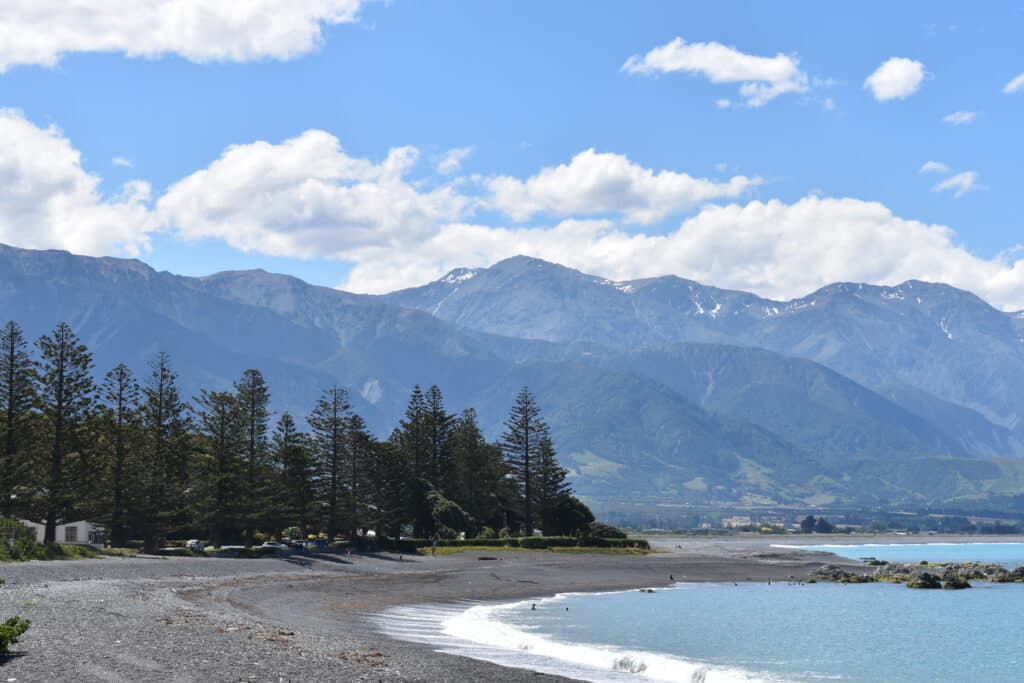 16. Kaikoura (Best Tourist Attractions In New Zealand)