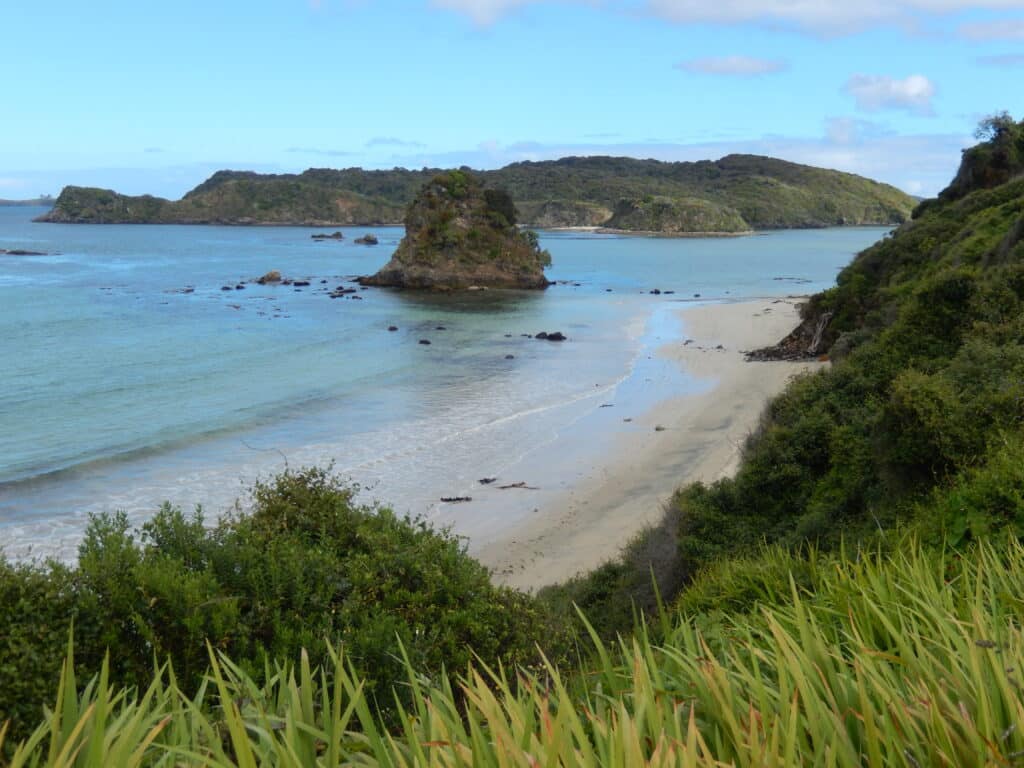 4. Stewart Island (Best Tourist Attractions In New Zealand)