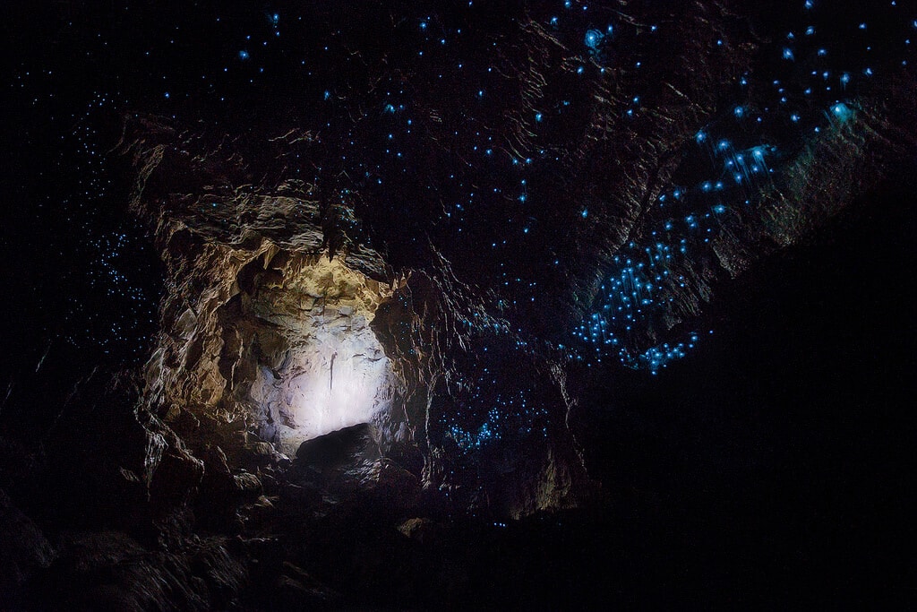 15. Waitomo Glowworm Caves