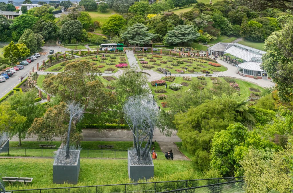 2. Wellington Botanic Garden