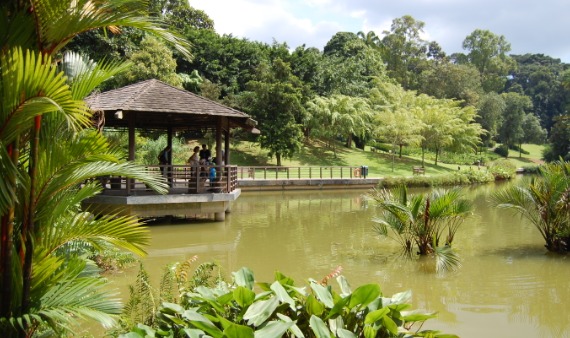 7. Singapore Botanic Gardens