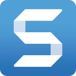 Snagit (Best Screenshot Tools for Windows [2024])