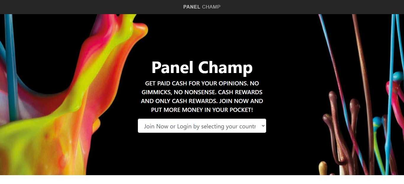 Panel Champ Survey Review - The Opportunities are Endless