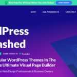 Elegant Themes Affiliate Program Review: The Most Popular WordPress Themes