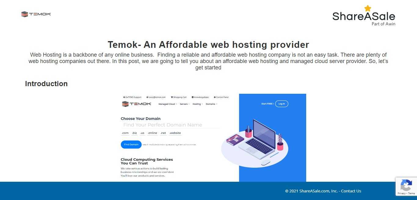 Temok Affiliate Program Review : 20% Commission on Each Sale