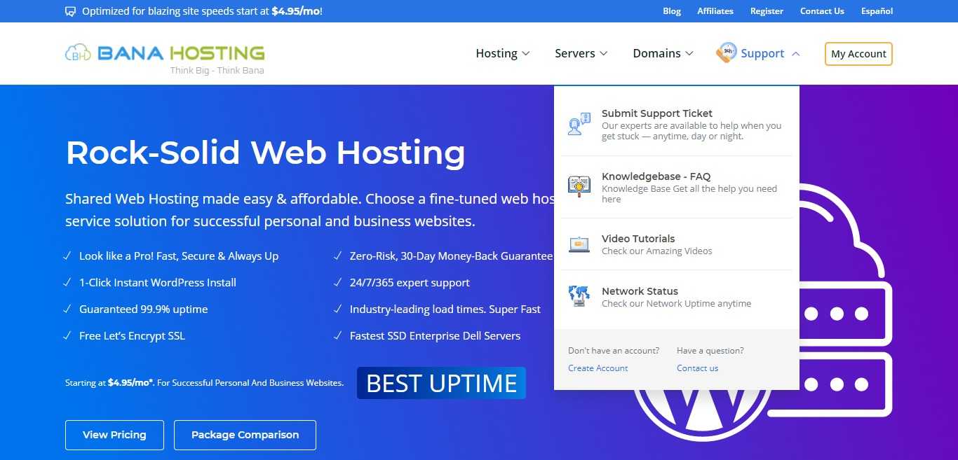 BanaHosting Affiliate Program Review : 10% lifetime recurring commission on each sale