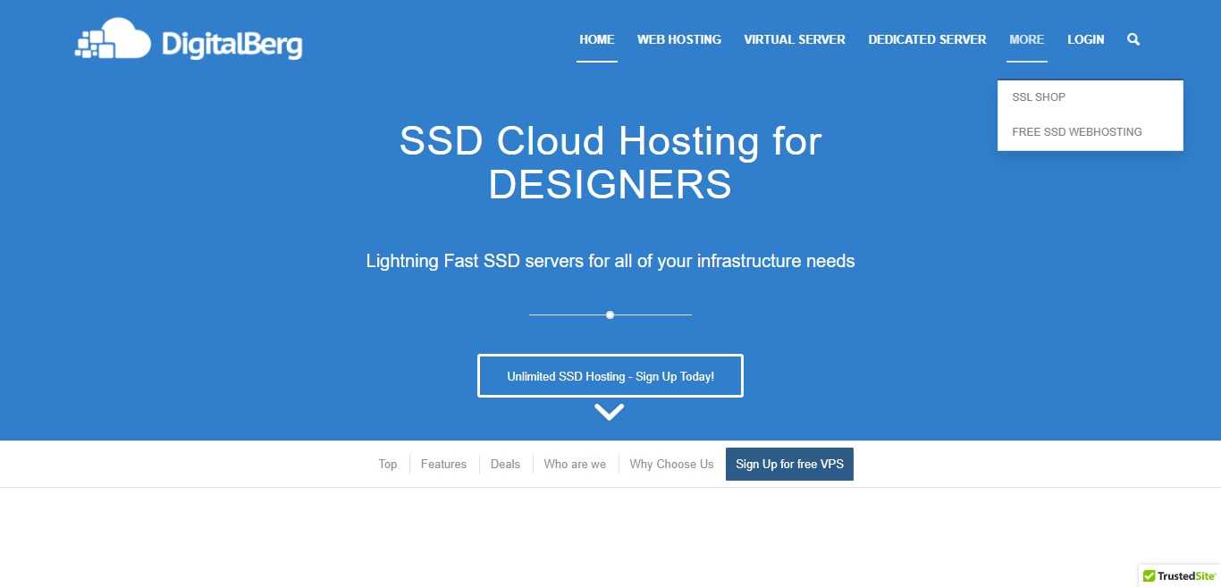 DigitalBerg Hosting Review : SSD Cloud Hosting for Designers