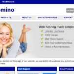 Bluedomino Web Hosting Review: $250 Free Marketing Ad Value