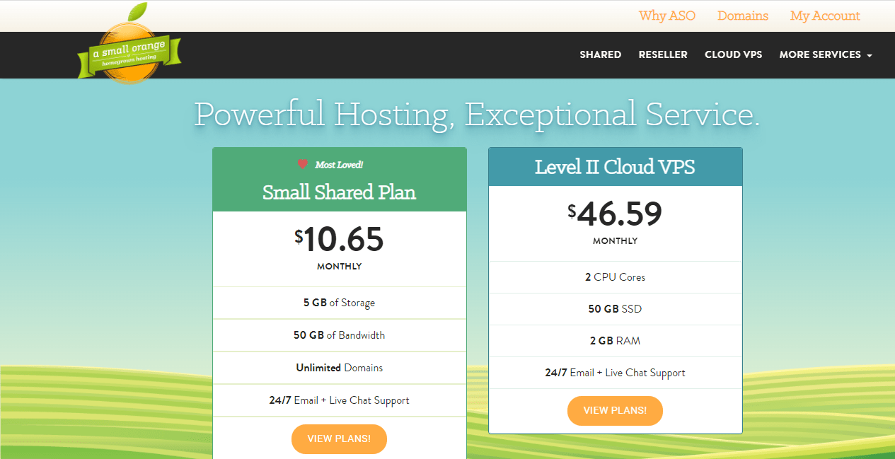 Asmallorange.com Hosting Review : It Is Good Or Bad Review 2021