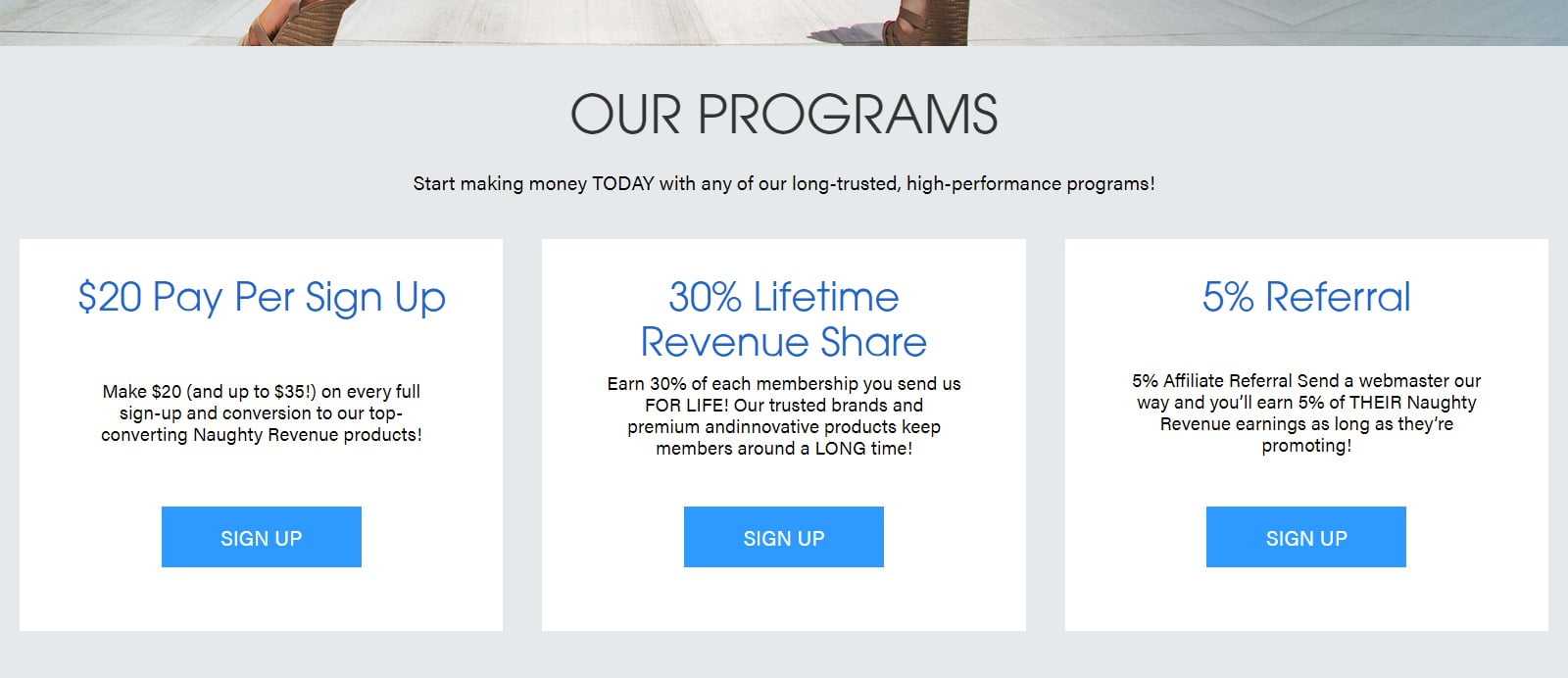 Naughty Revenue Affiliates Program Review: 30% Recurring Revenue share