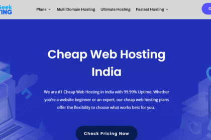 Bluegeekhosting.com Hosting Review : It Is Good Or bad Review 2022