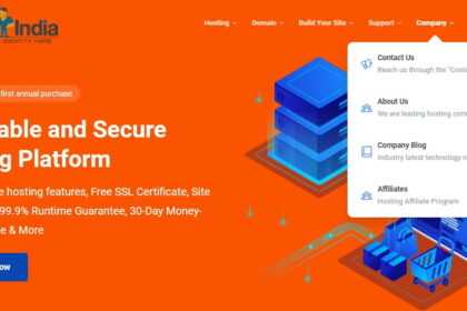 Domainindia.com Hosting Review : It Is Good Or Bad Review 2022