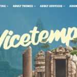 Vicetemple.com Hosting Review : It Is Good Or Bad Review 2022