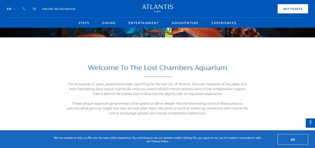 The Lost Chamber Aquarium