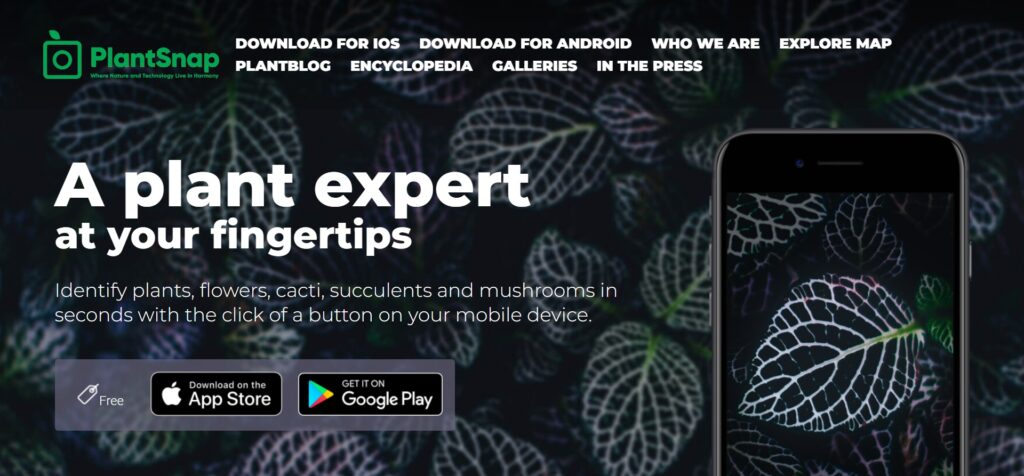Plantsnap (Best App To Identify Plants)