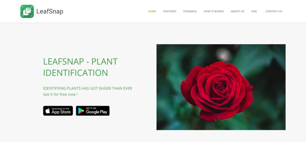LeafSnap (Best App To Identify Plants)