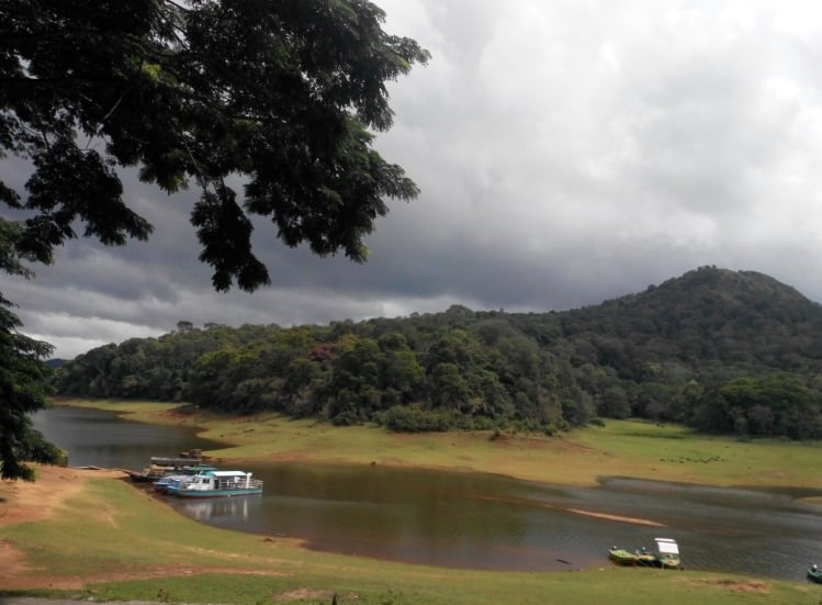 60. Thekkady (Best Tourist Places In India)