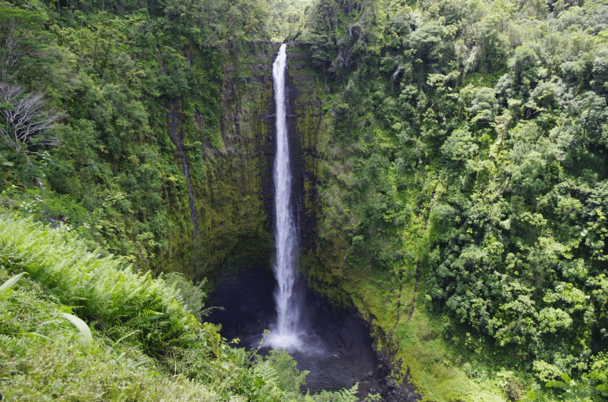 Akaka Falls (Best Place To Visit In Hawaii)