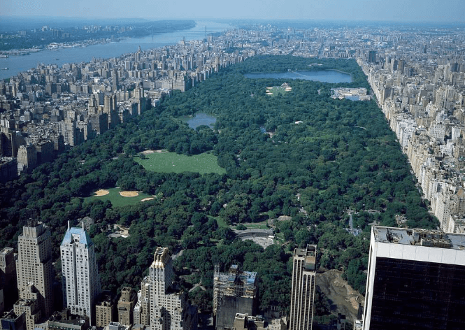 Central Park (Best Tourist Attractions In Nyc)