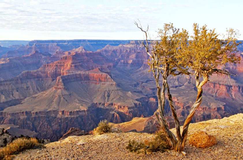 Grand Canyon, Arizona (Best Tourist Places In Usa)
