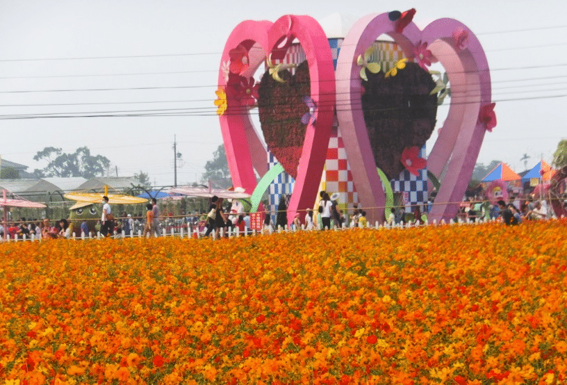 Xinshe Sea of Flowers