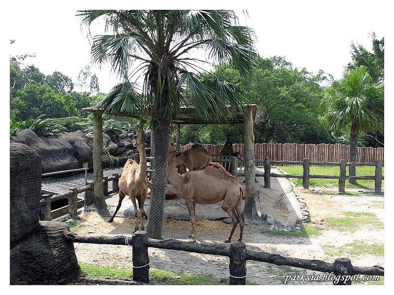 Muzha Zoo